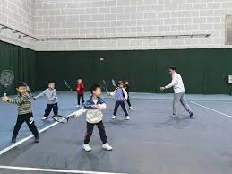 传《宝可梦传说Z-A》易遇异色宝可梦秘方